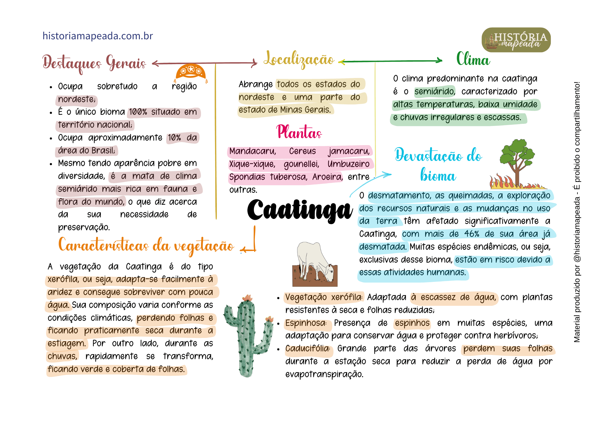 Mapas Mentais de Geografia 4